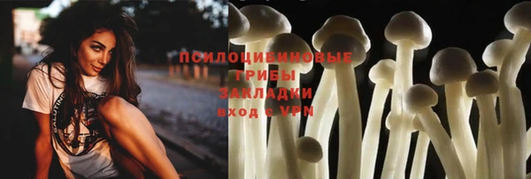 mdpv Гусь-Хрустальный