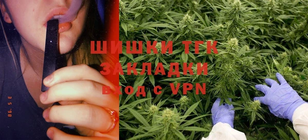 mdpv Гусь-Хрустальный