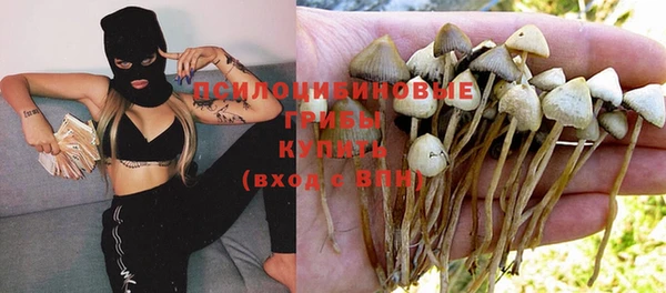 mdpv Гусь-Хрустальный