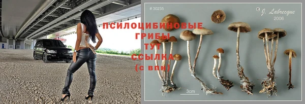 кристаллы Гусев